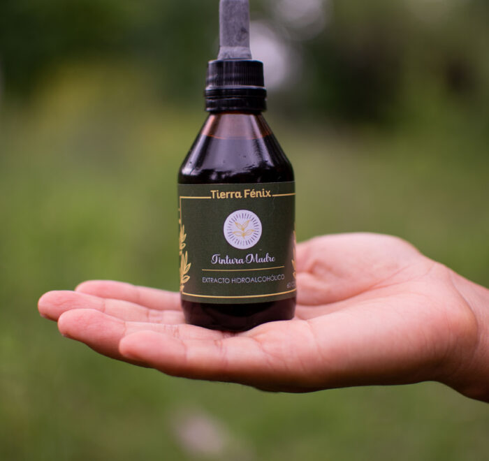 Tintura Madre