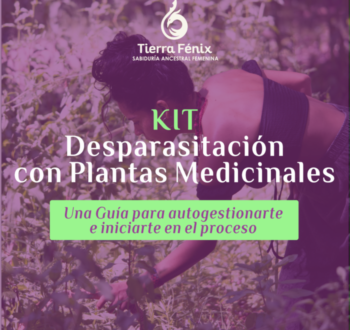 Kit Desparasitación con plantas Medicinales