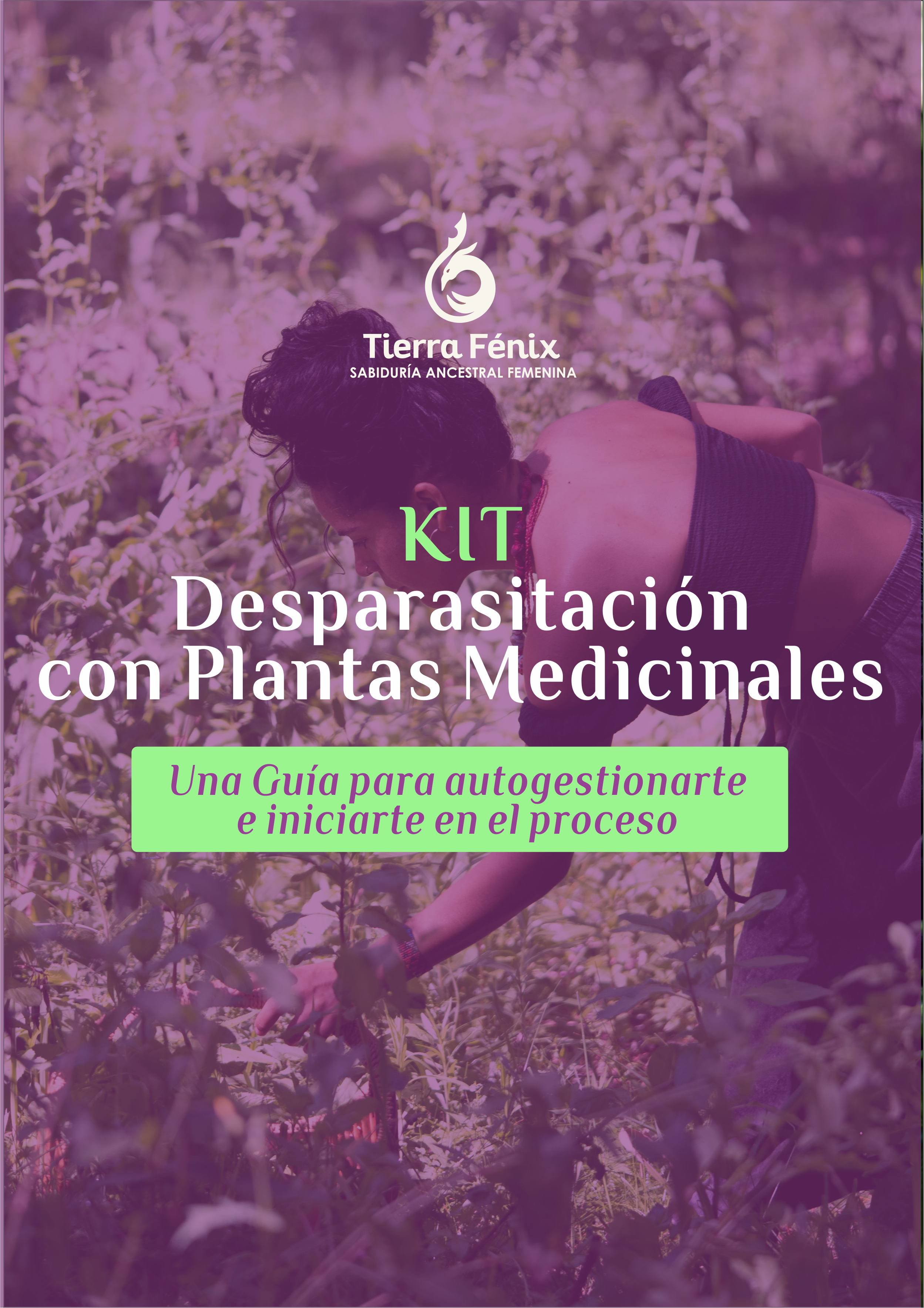 Kit Desparasitación con plantas Medicinales