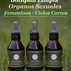 Ciclos cortos