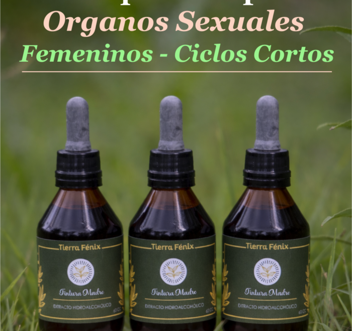 Ciclos cortos