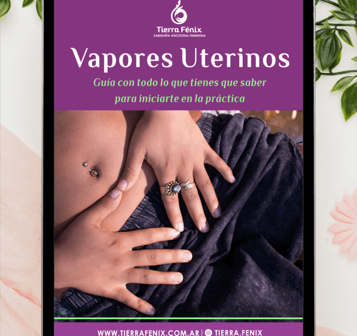 Guia Virtual - Iniciación en Vapores Uterinos