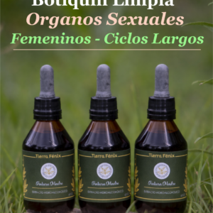 Ciclos Largos