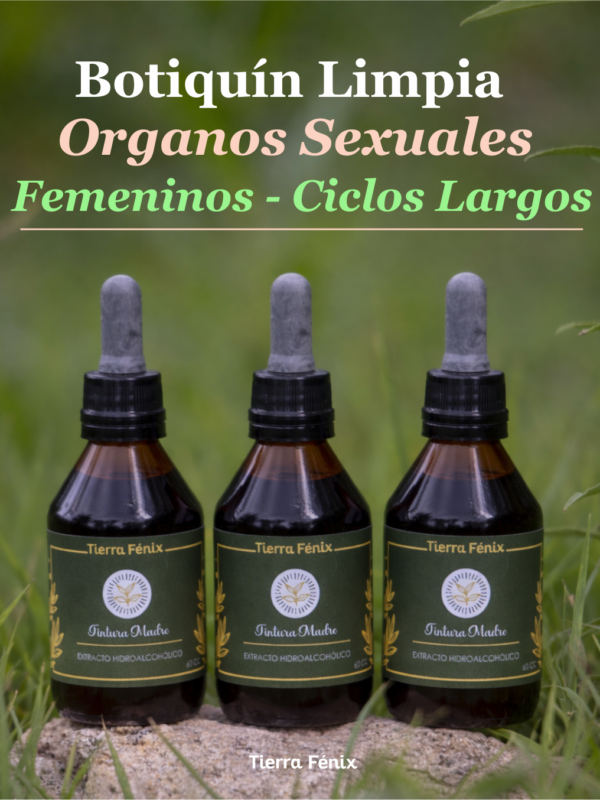 Ciclos Largos