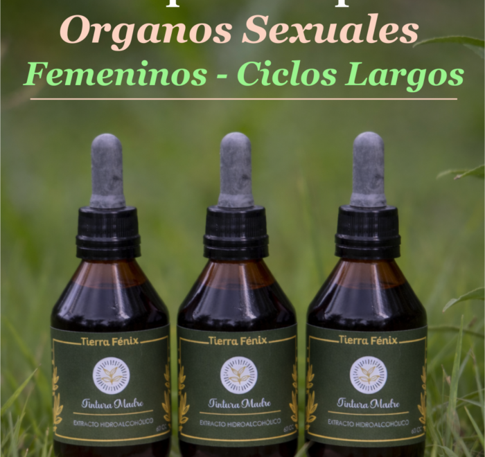 Ciclos Largos