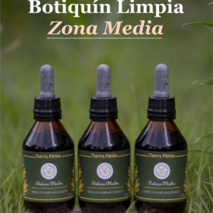 Zona Media