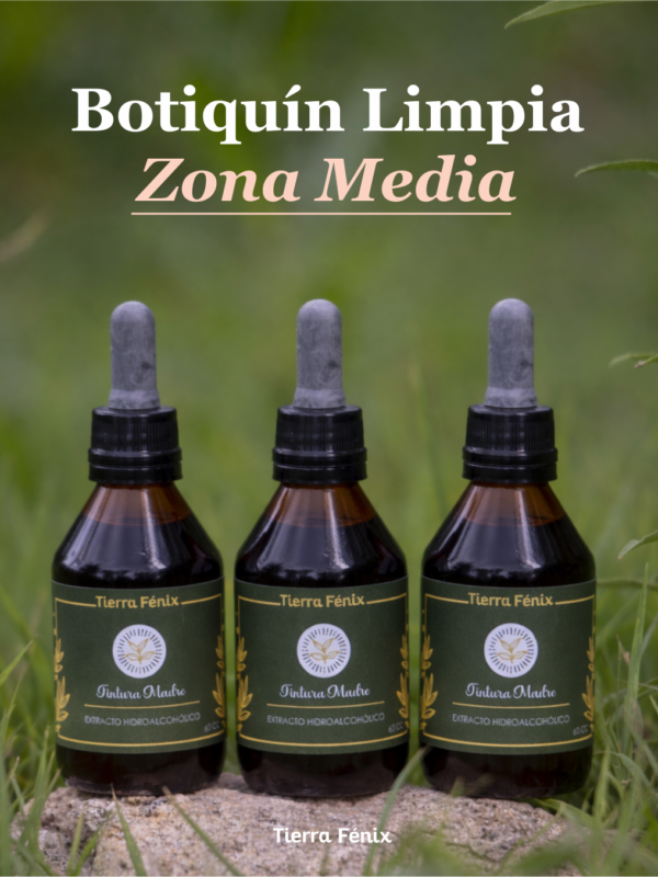Zona Media